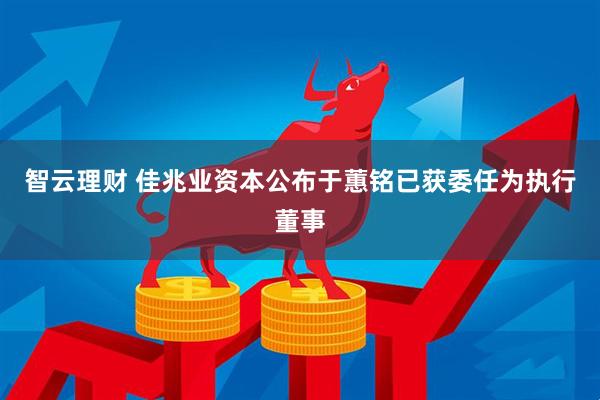 智云理财 佳兆业资本公布于蕙铭已获委任为执行董事