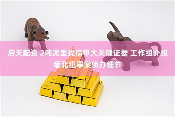 启天配资 2吨泥里找指甲大关键证据 工作组介绍缅北犯罪案侦办细节